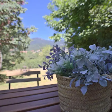 Holiday home Casa Con Jardin, 4 Y Mucho Encanto En Cercedilla